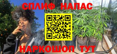 тгк Дубна