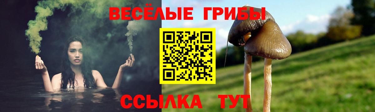 Галлюциногенные грибы GOLDEN TEACHER  Галлюциногенные грибы прущие грибы  Вход с VPN  Муравленко 
